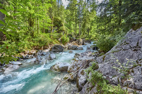 Gemeinde Ramsau Landkreis Berchtesgadener_Land Zauberwald am Hintersee (Dirschl Johann) Deutschland BGL